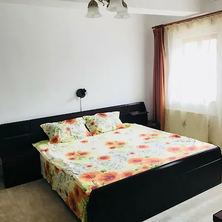 Lägenhet Vila Elite Braşov